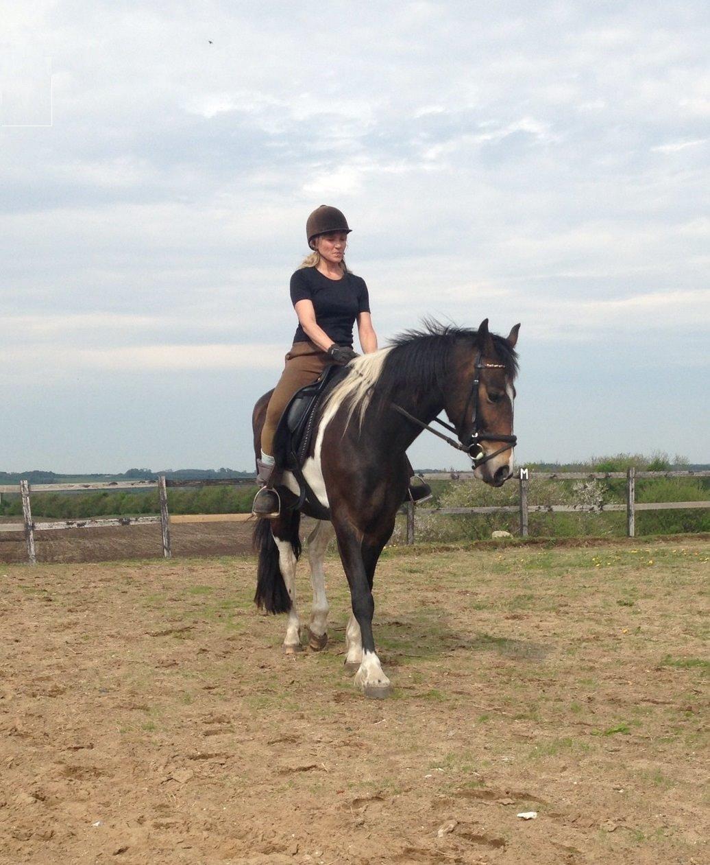 Barockpinto Valencia - Valle <3 - SOLGT billede 9