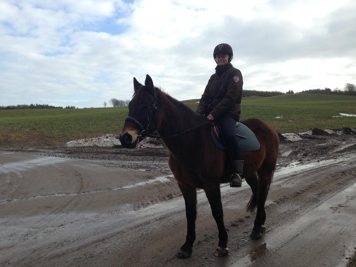 Anden særlig race Oscar - Ossie <3 - SOLGT - Da vi var ude at prøve ham. billede 5