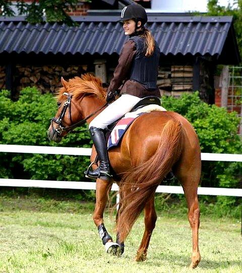 Anden særlig race Ponygården's Megara - "Kærlighed er ligesom en krig, nem at starte, svær at slutte, glemmes aldrig!<3" billede 2