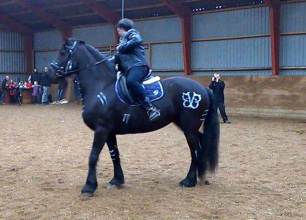 Frieser Hylkje - Jenny rider buller til fastelavn billede 8