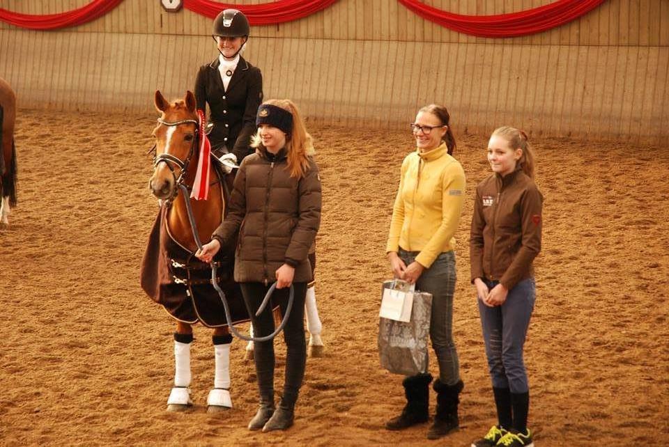 Hollandsk Sportspony Lasco A-pony billede 1
