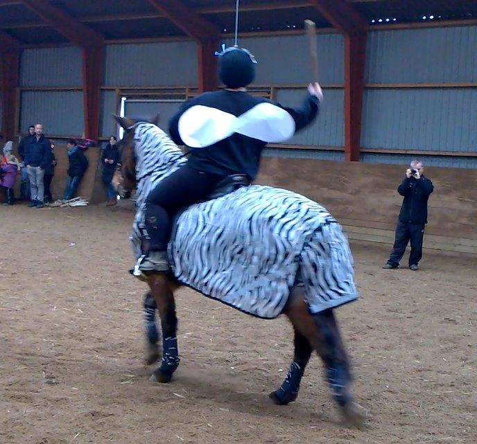 Anden særlig race Beauty - fastelavn 2014 billede 15