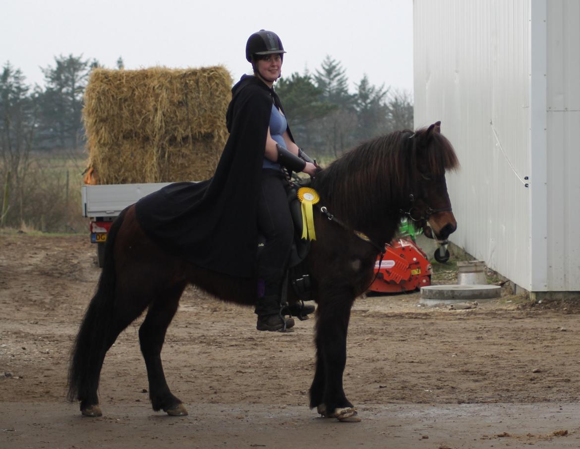 Islænder Eydis fra Valhalla billede 7