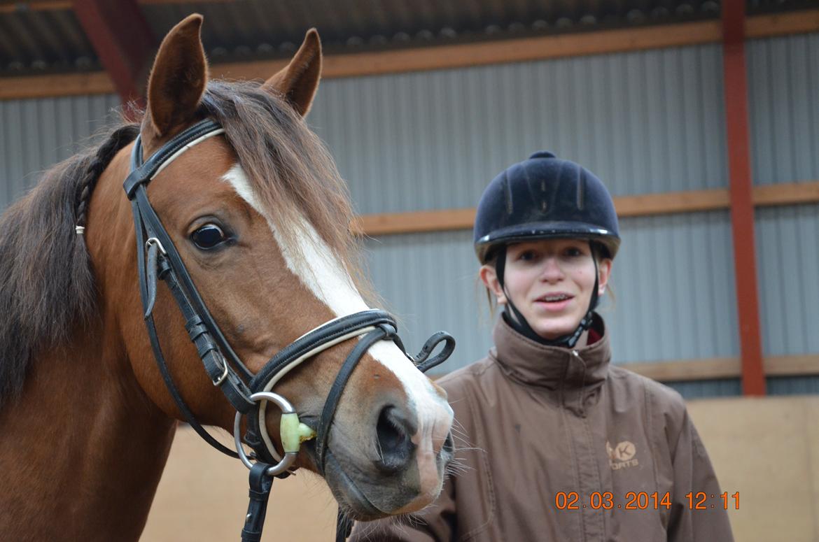 DSP Vesterskovens Chili billede 19