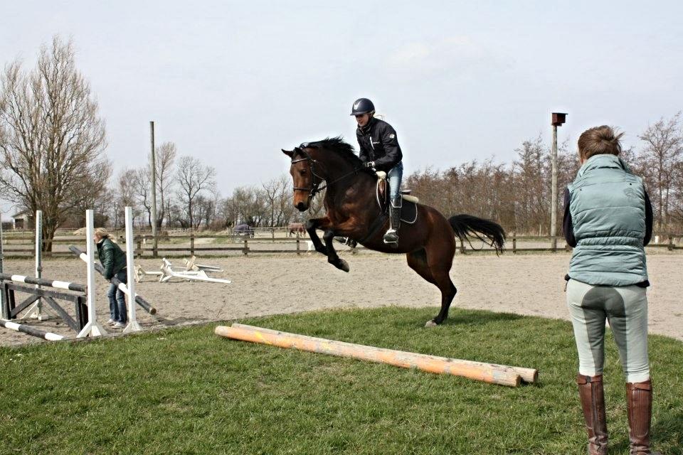 Anden særlig race FMR´s Olivia billede 1