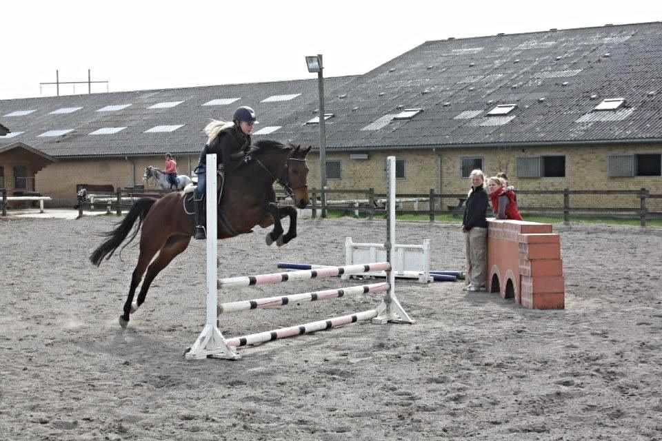 Anden særlig race FMR´s Olivia billede 2
