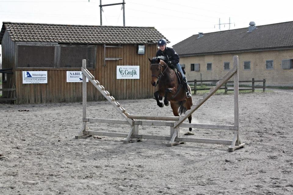 Anden særlig race FMR´s Olivia billede 4
