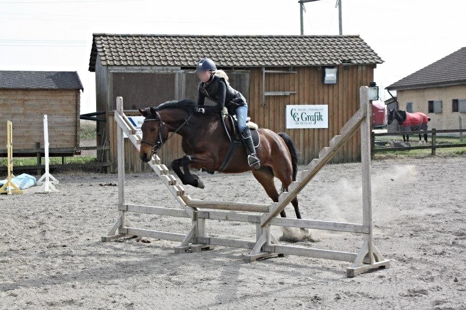 Anden særlig race FMR´s Olivia billede 6