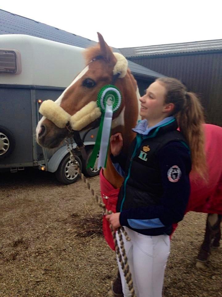 Anden særlig race Trebjerregårds Grand Manier billede 4