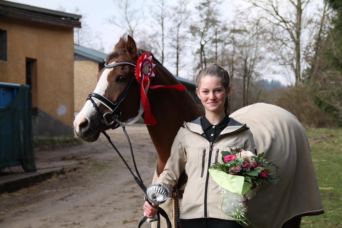 Hollandsk Sportspony Orchid's Marinja B-pony - Championatvinder 2013 billede 16