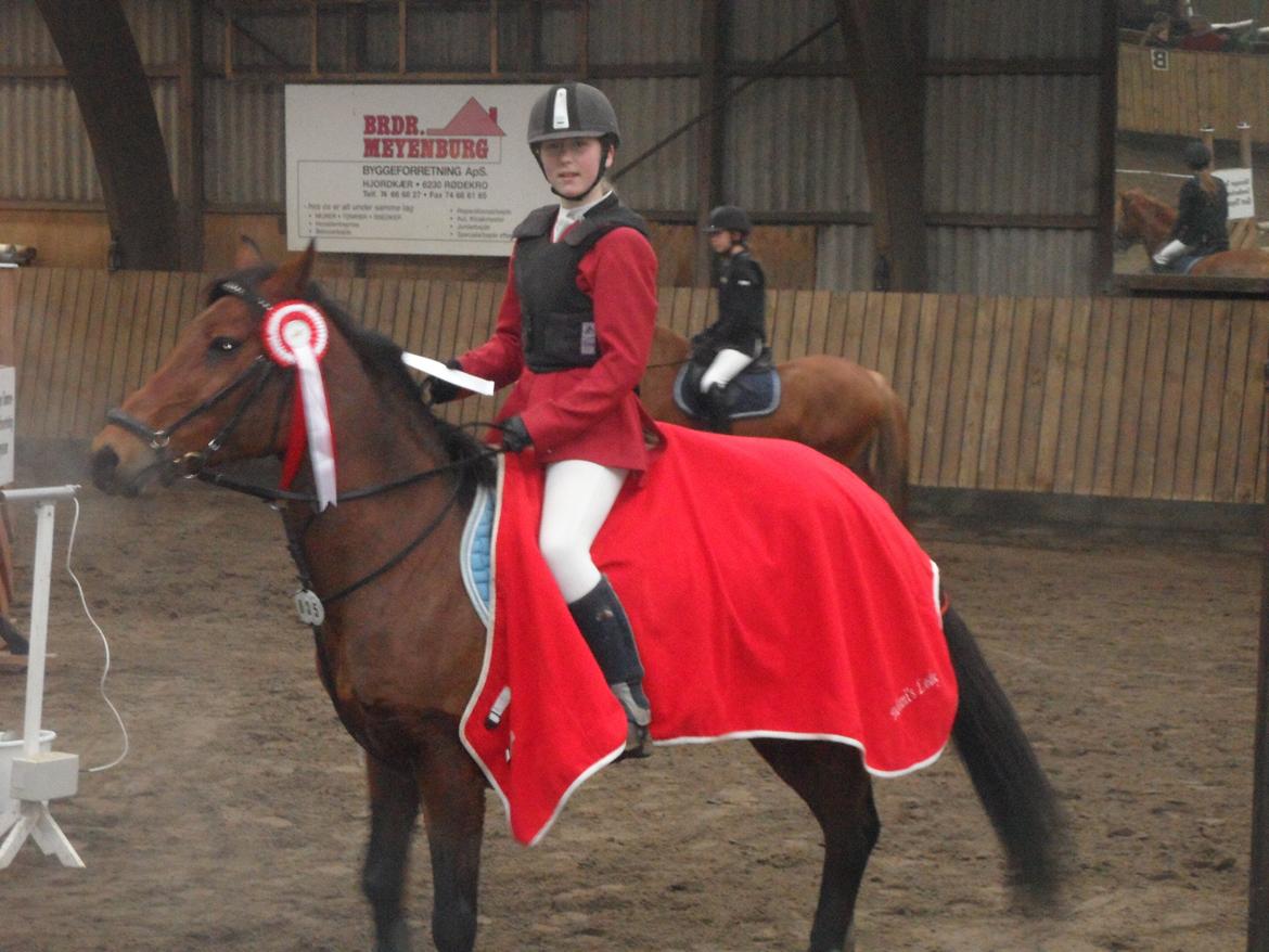 Hollandsk Sportspony Melanie's Lady  B-PONY - D. 2.3.2014 Aabenraa Mønterhøj Rideklub Klasse: LB1* 1 Plads og 250 kr.  billede 34
