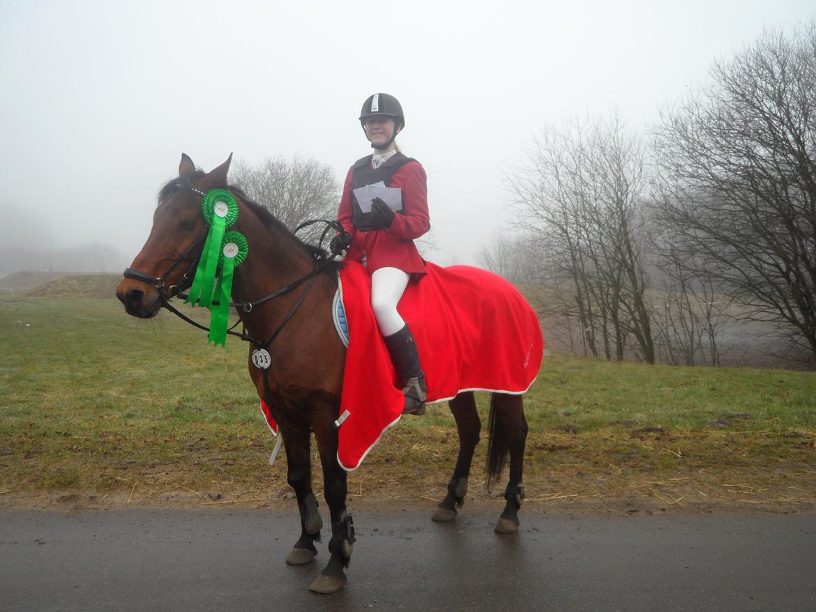Hollandsk Sportspony Melanie's Lady  B-PONY - D. 1.3.2014 Aabenraa Mønterhøj Rideklub Klasse: LB1** & LB2** 4 Plads i begge klasser og 210 kr. billede 32