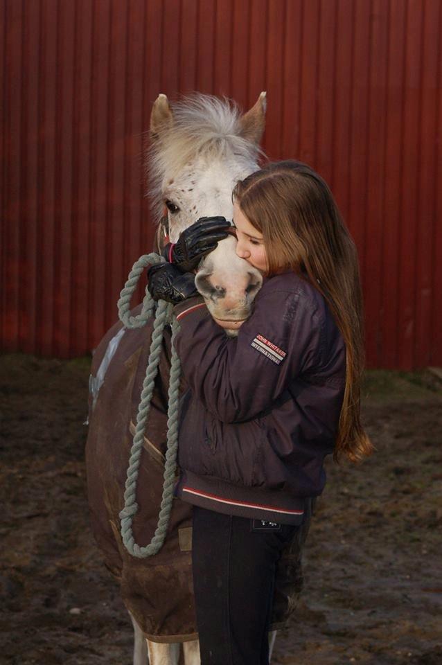 Anden særlig race Hot'n tot A-PONY - *Velkommen til Hottes profil* Foto: Helene simonsen billede 18