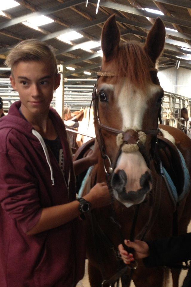 New Forest Taliena´s Thamara billede 13