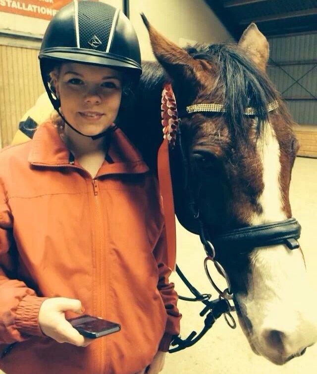 Hollandsk Sportspony Pablo billede 11