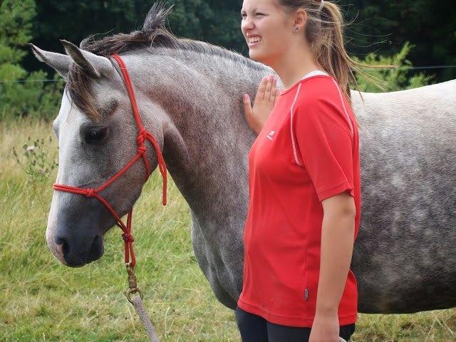 Welsh Pony (sec B) Lundehuset's Harmonie - Horsemanship billede 2