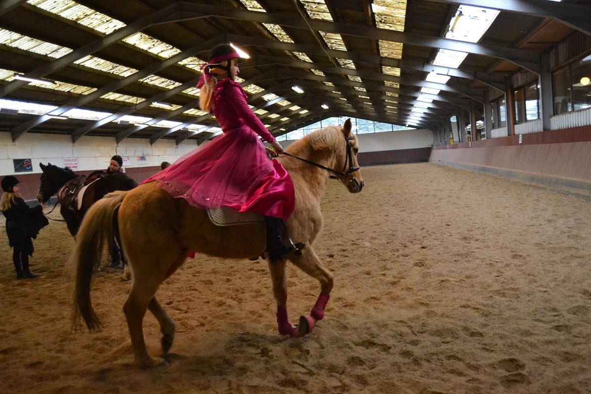 Palomino Zidane - Til Fastelavnsstævne, klædt ud som Barbie og hest :) billede 2