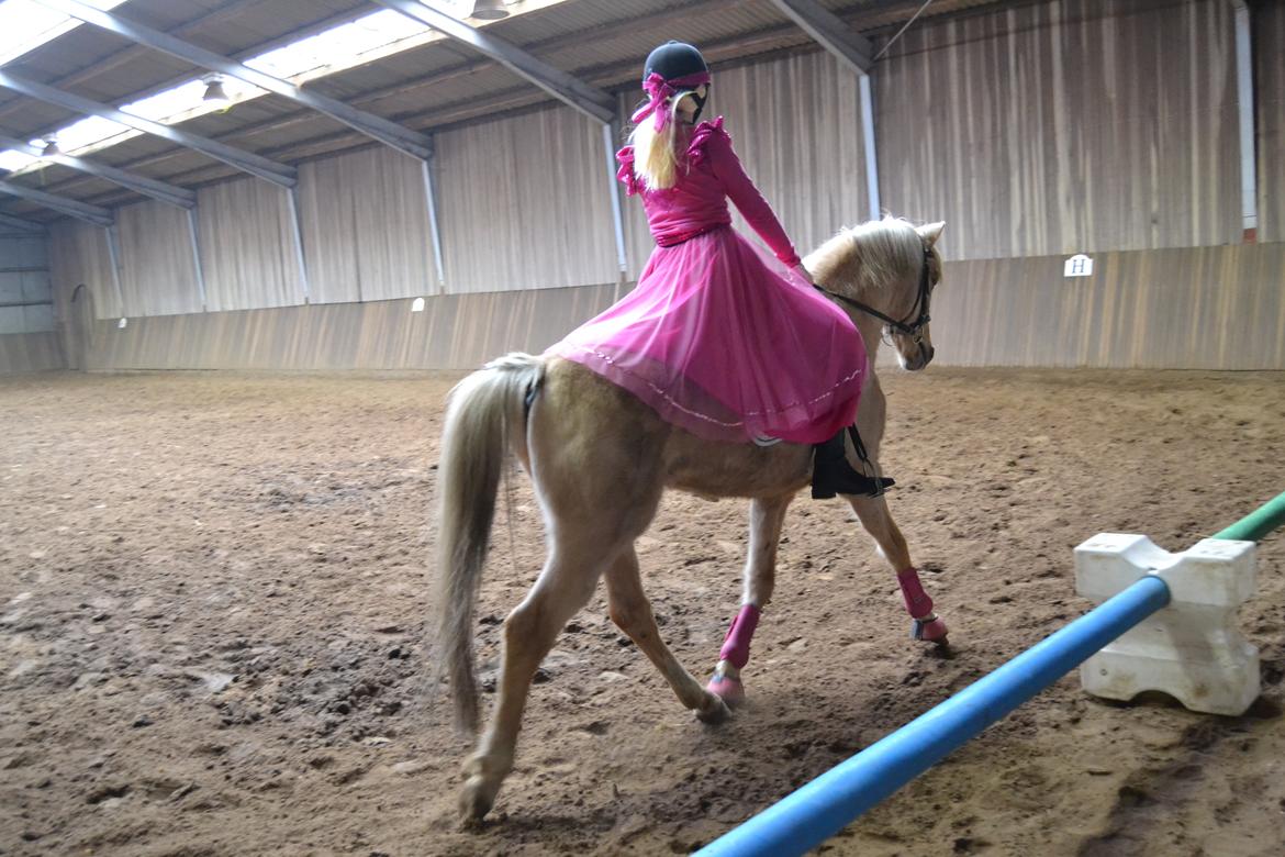 Palomino Zidane - Til Fastelavnsstævne, Klædt ud som Barbie og hest :) billede 3