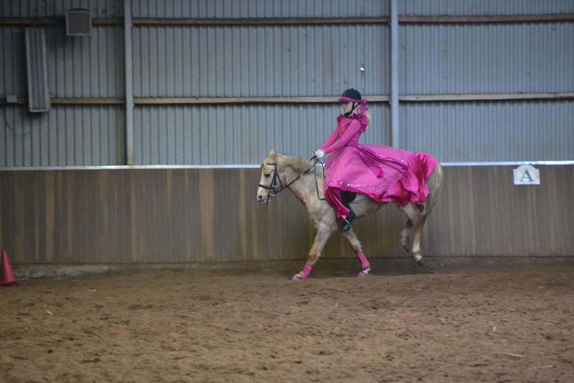 Palomino Zidane - Et Lille buk Til Fastelavnsstævne, Klædt ud som Barbie og hest billede 4
