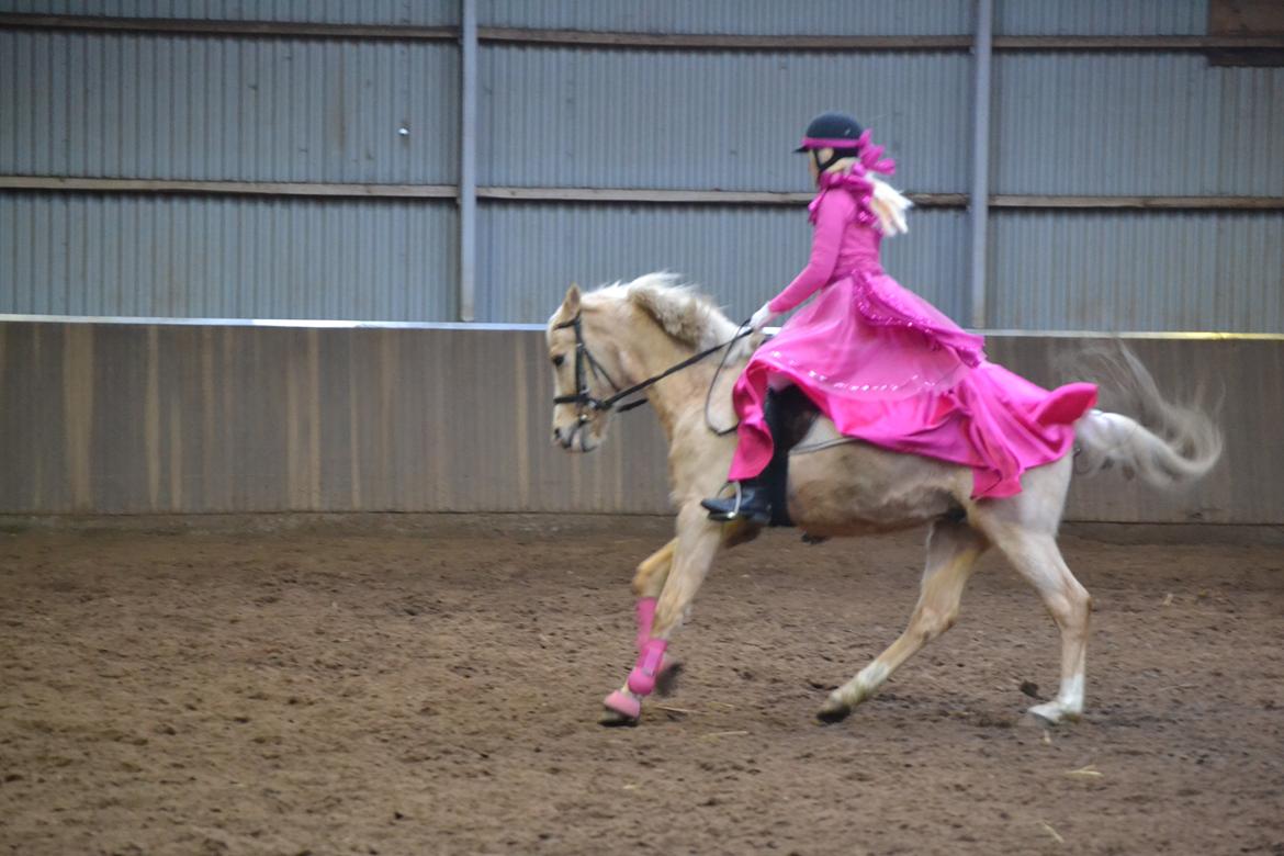 Palomino Zidane - Til Fastelavnsstævne, Klædt ud som Barbie og hest :) billede 5