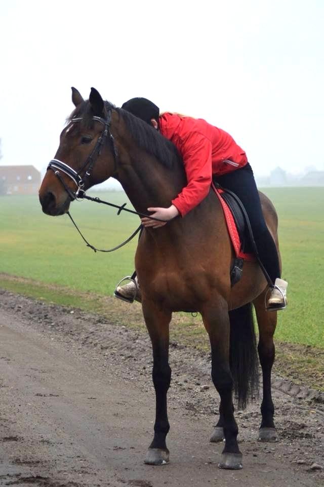 Dansk Varmblod Landeur (Litan) - Det sidste kram inden vi siger farvel! <3 Foto: Maja. billede 37