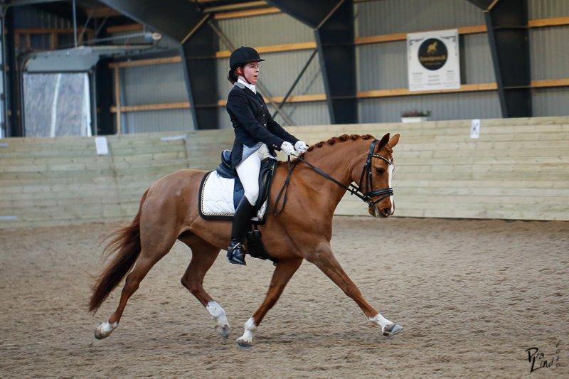 Connemara KÖHLS EVELINA B-PONY! billede 11