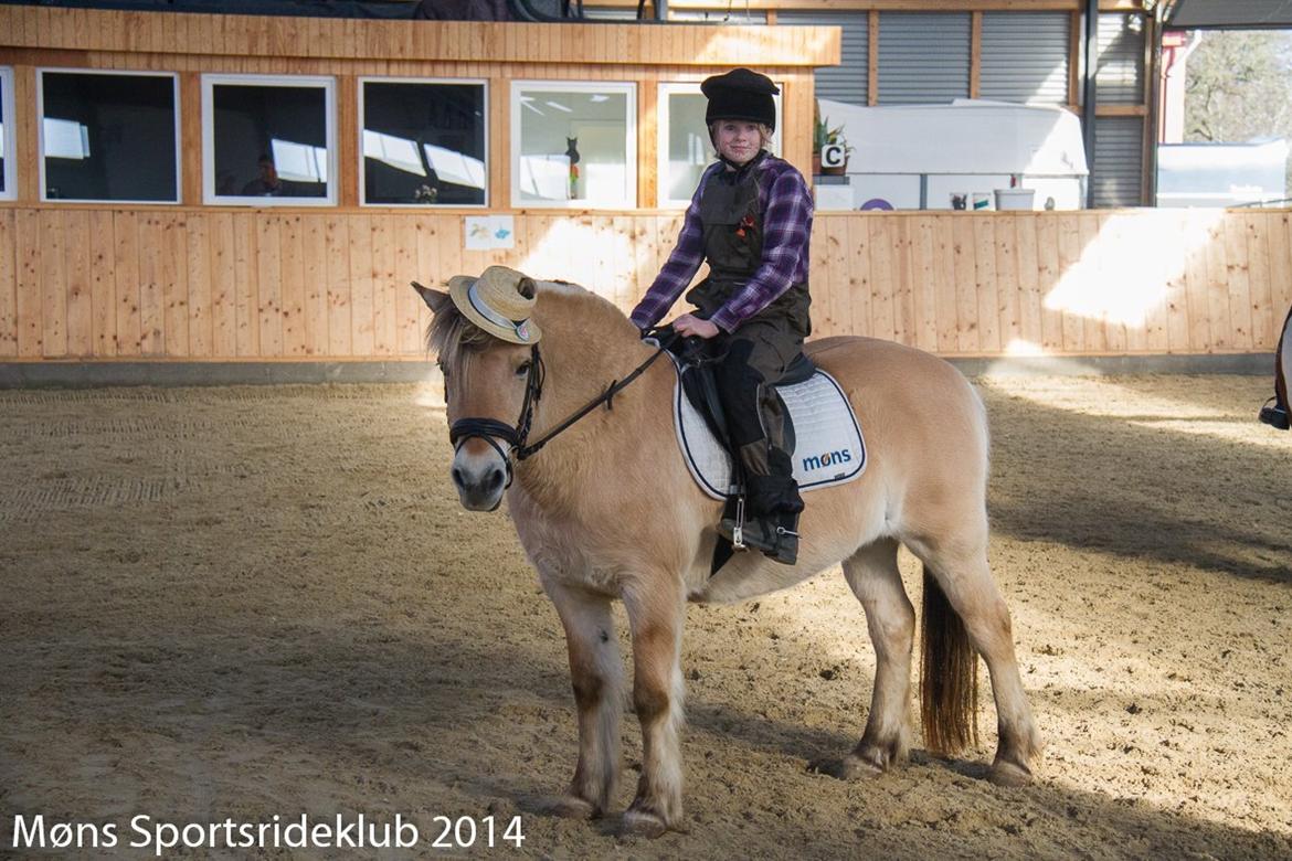 Fjordhest Lilja - Fastelavn ringridning 23-2-2014.. Søster rider og var bonderøv billede 7