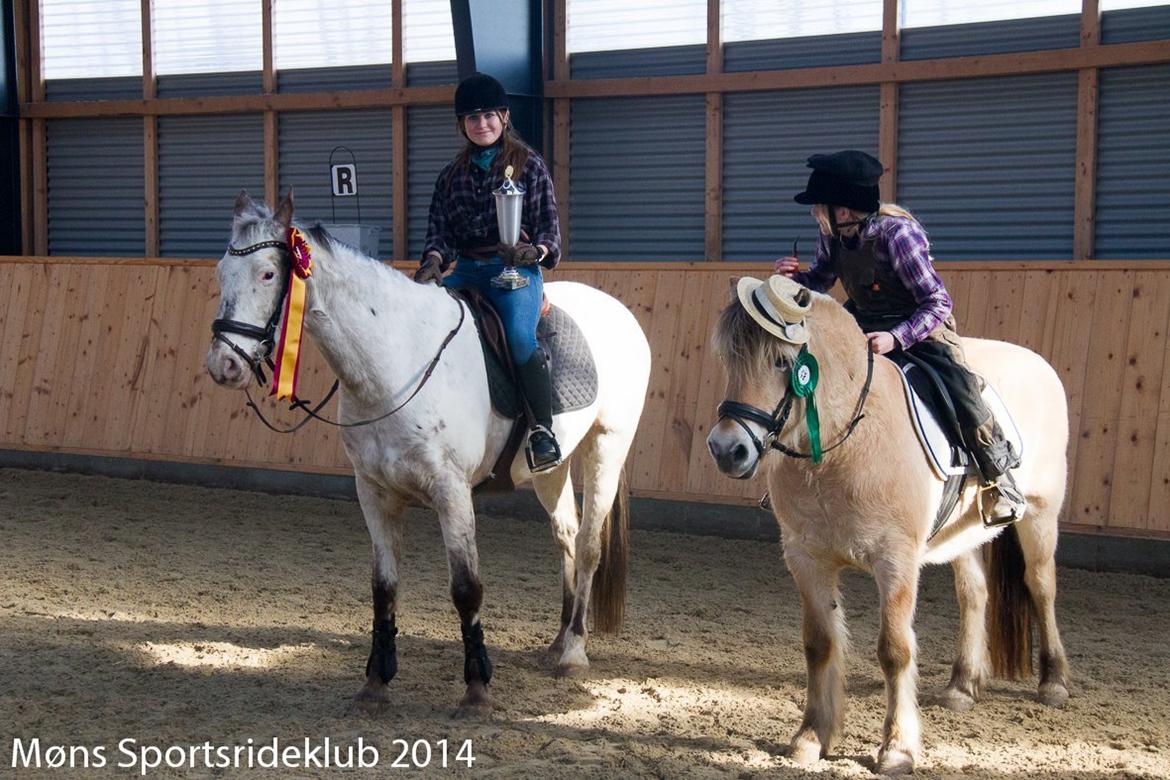 Fjordhest Lilja - Fastelavn ringridning 23-2-2014.. Min søster på Lilja og jeg selv på Nocher billede 8