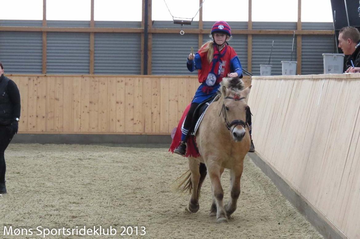 Fjordhest Lilja - Haloween ringridning 3-11-2014... Min søster rider her og var fodboldspiller billede 14