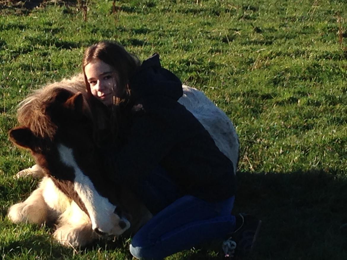 Anden særlig race Samba - den bedste shetter tøs<3 billede 2