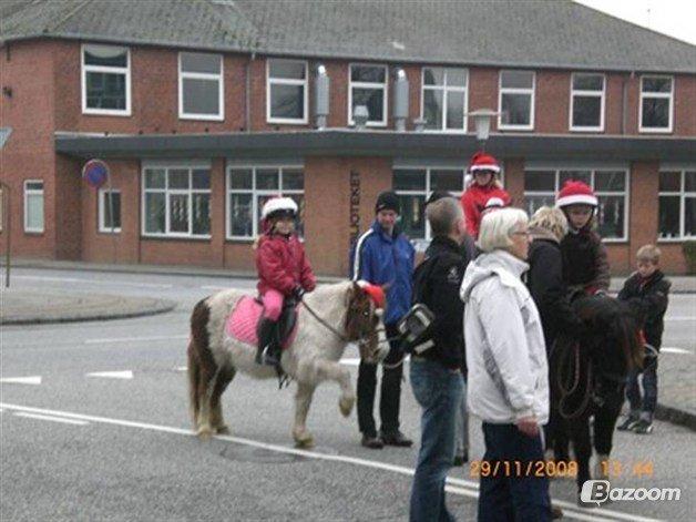 Anden særlig race Samba - juleoptog 2008 i aulum billede 15