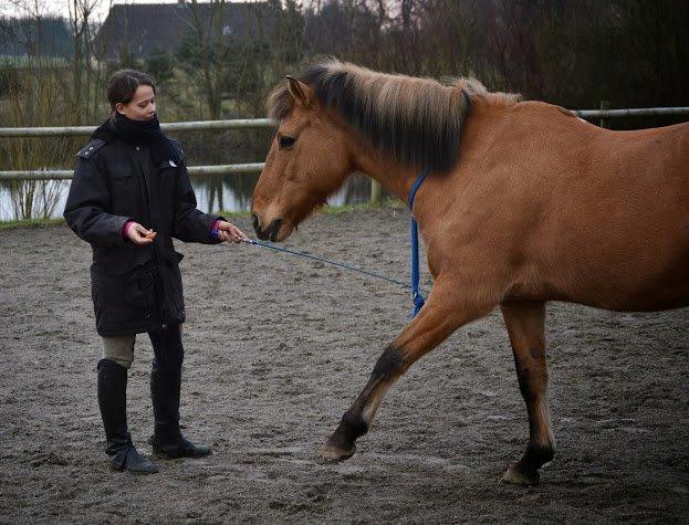 Anden særlig race Lukas billede 14