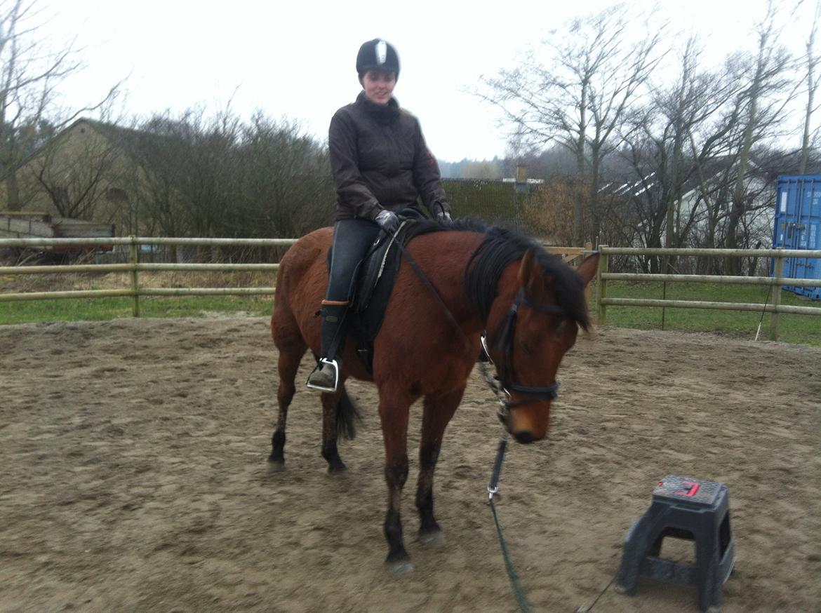 Traver Rosado (Rosa) - 04-03-2014 Første gang jeg er på ryggen af hende  billede 8