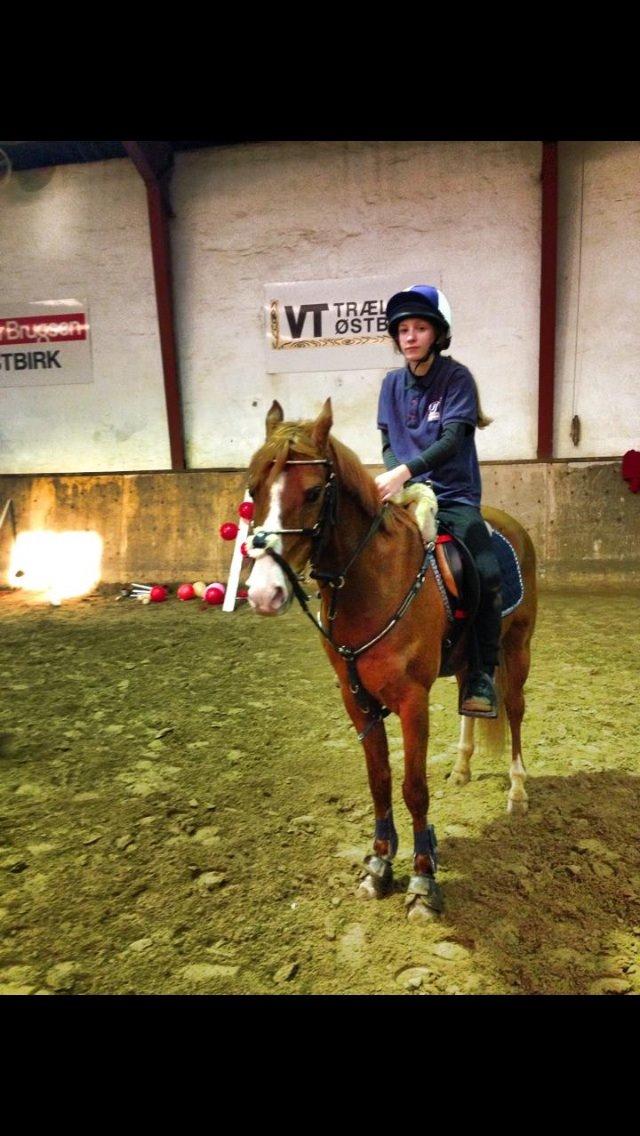 DSP Nyholms Sinatra billede 16