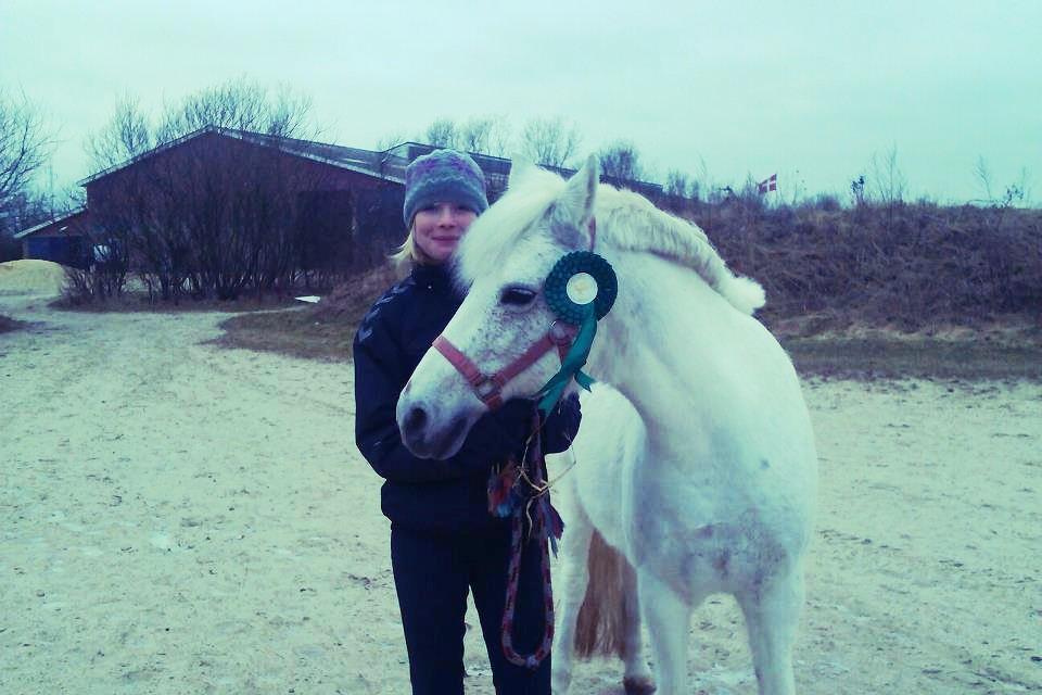 Anden særlig race Plet Farvel mit 1 og alt! </3 - 2. plads i ponygames d. 24/2 -13  billede 18