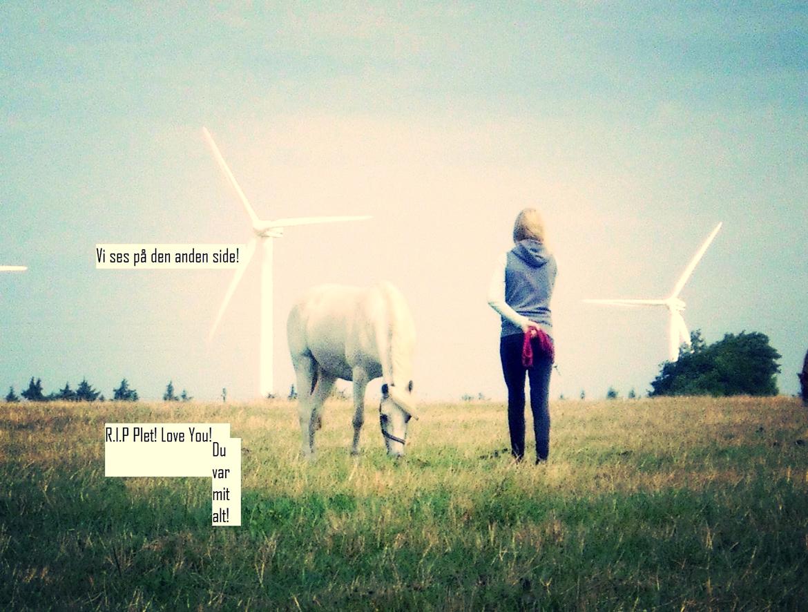 Anden særlig race Plet Farvel mit 1 og alt! </3 billede 2