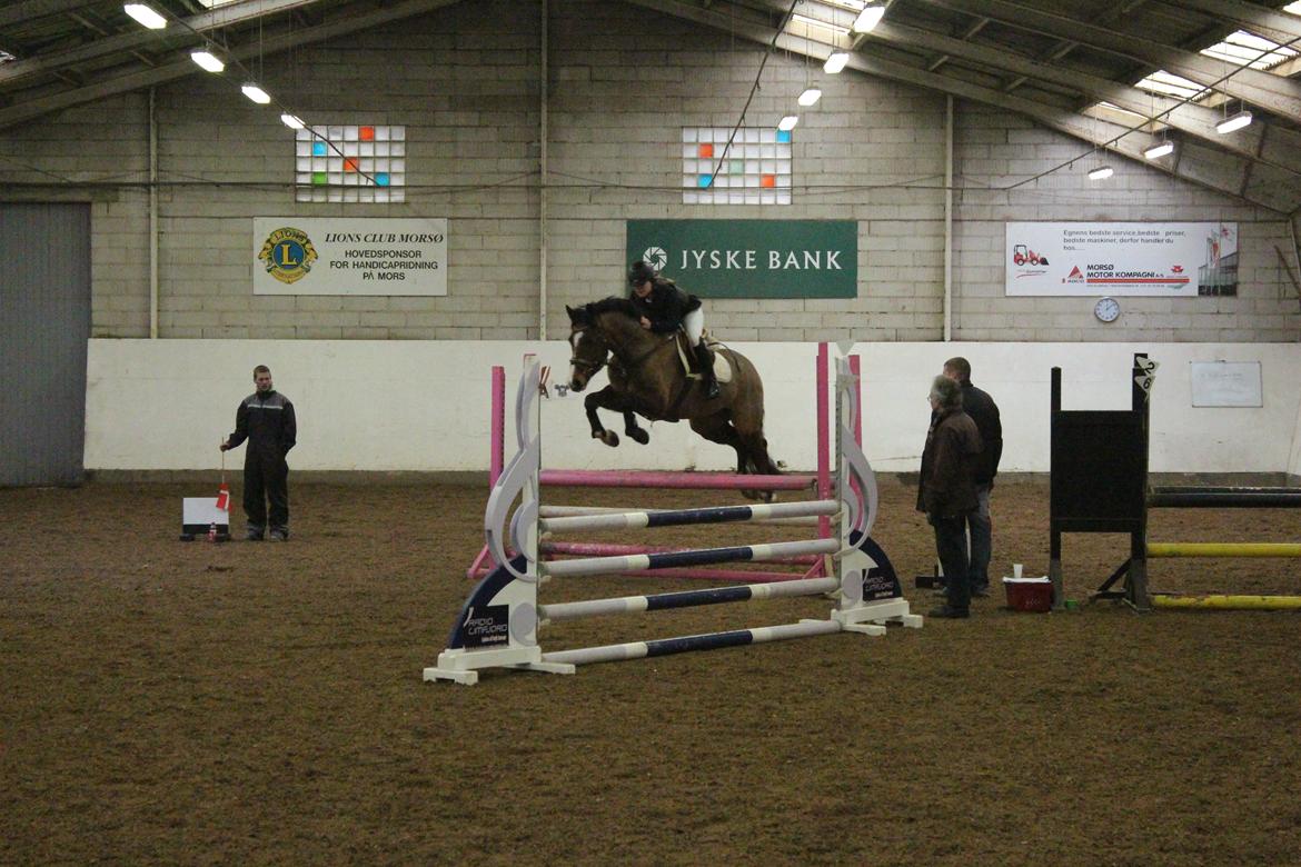 DSP Haahr`s Dumbledore billede 30