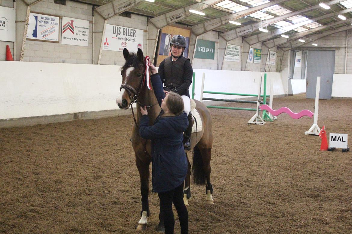 DSP Haahr`s Dumbledore billede 32