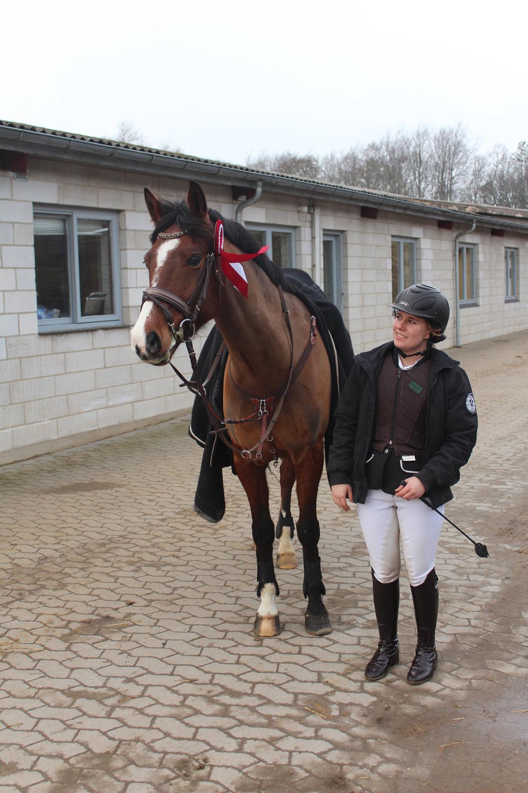 DSP Haahr`s Dumbledore billede 33