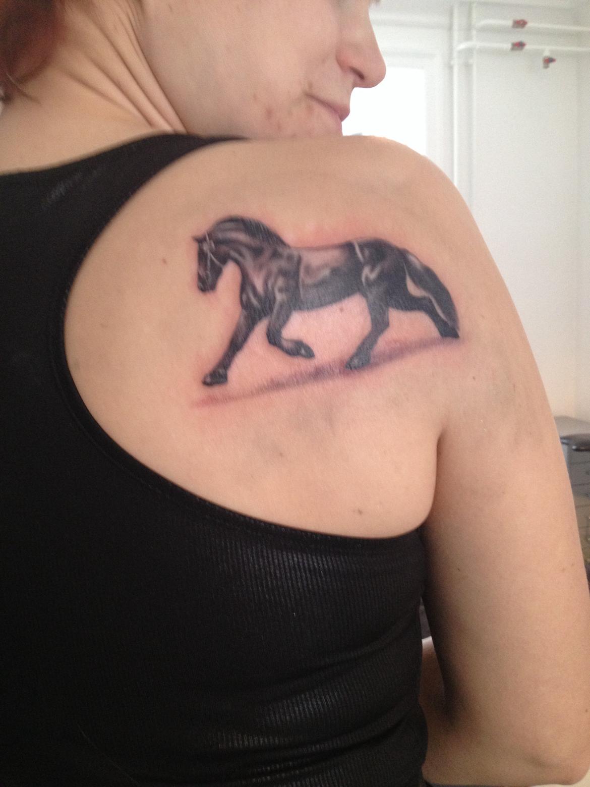 Barockpferd Ilano billede 26