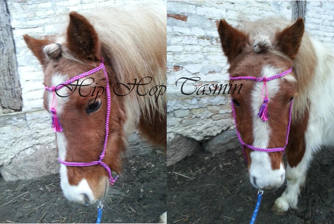 Miniature Pocahontas - Hjemmelavet grime billede 14