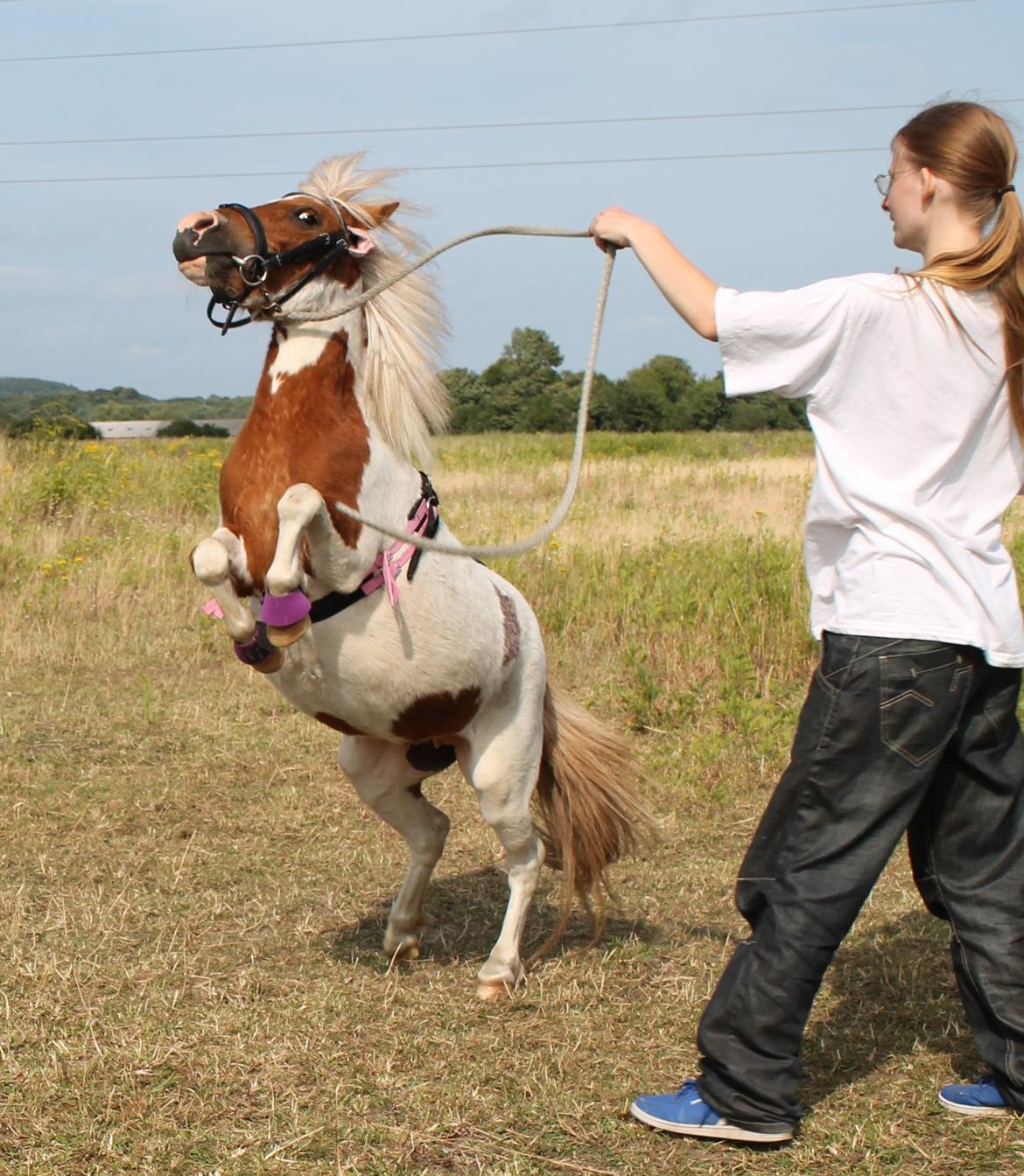 Miniature Pocahontas - Stejle tricket billede 2