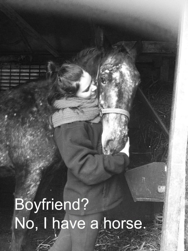 Knabstrupper Friis' Signe - Du er virkelig alt for mig. billede 10