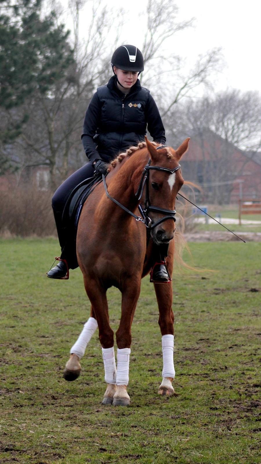 DSP Sunspot - Sunny & Maria Mølgaard <3 billede 5