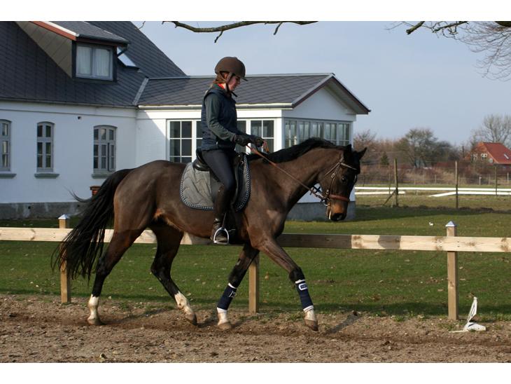 {{currentPhoto.altText}} billede {{currentPhoto.number}}