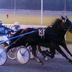 Traver Surprise me styrax