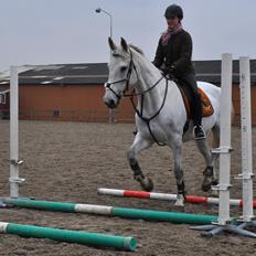 Anden særlig race Frk Freja