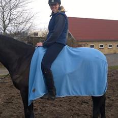 Barockpinto Gazella Frieserly