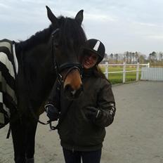 Dansk Varmblod Lunderup's Larina RDH