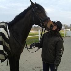 Dansk Varmblod Lunderup's Larina RDH